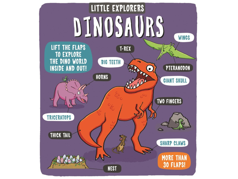 Little Explorers: Dinosaurs