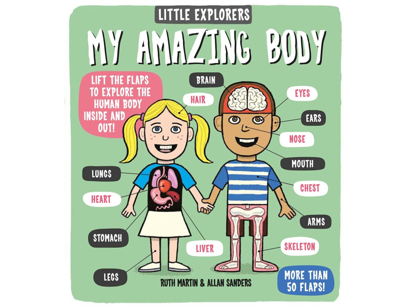 Little Explorers: My Amazing Body