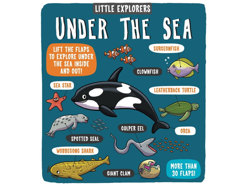 Little Explorers: under the sea