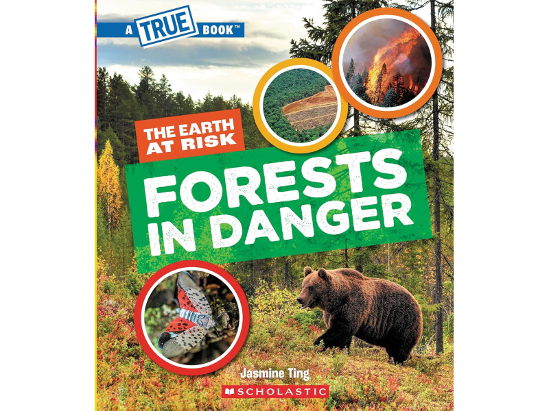 A True Book: The Earth at Risk: Forests in Danger