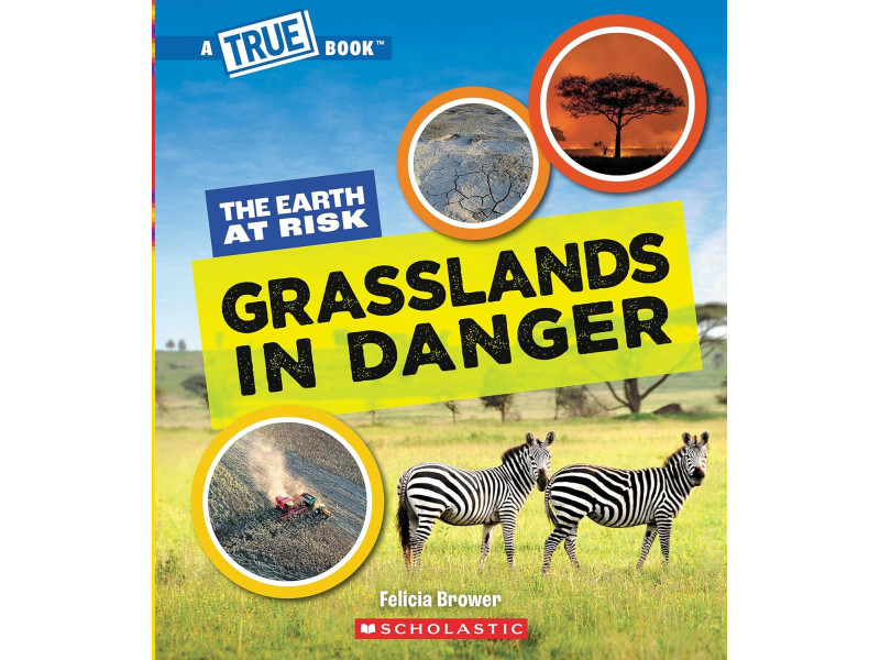 A True Book: The Earth at Risk: Grasslands in Danger