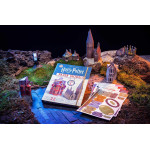 Harry Potter Paper Models